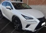 LEXUS NX LUXURY 4WD SPORT