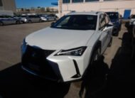 LEXUS UX UX 300e PREMIUM