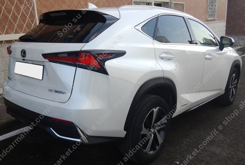 LEXUS NX LUXURY 4WD SPORT