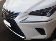 LEXUS NX LUXURY 4WD SPORT