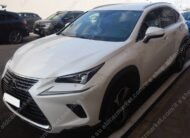 LEXUS NX LUXURY 4WD SPORT