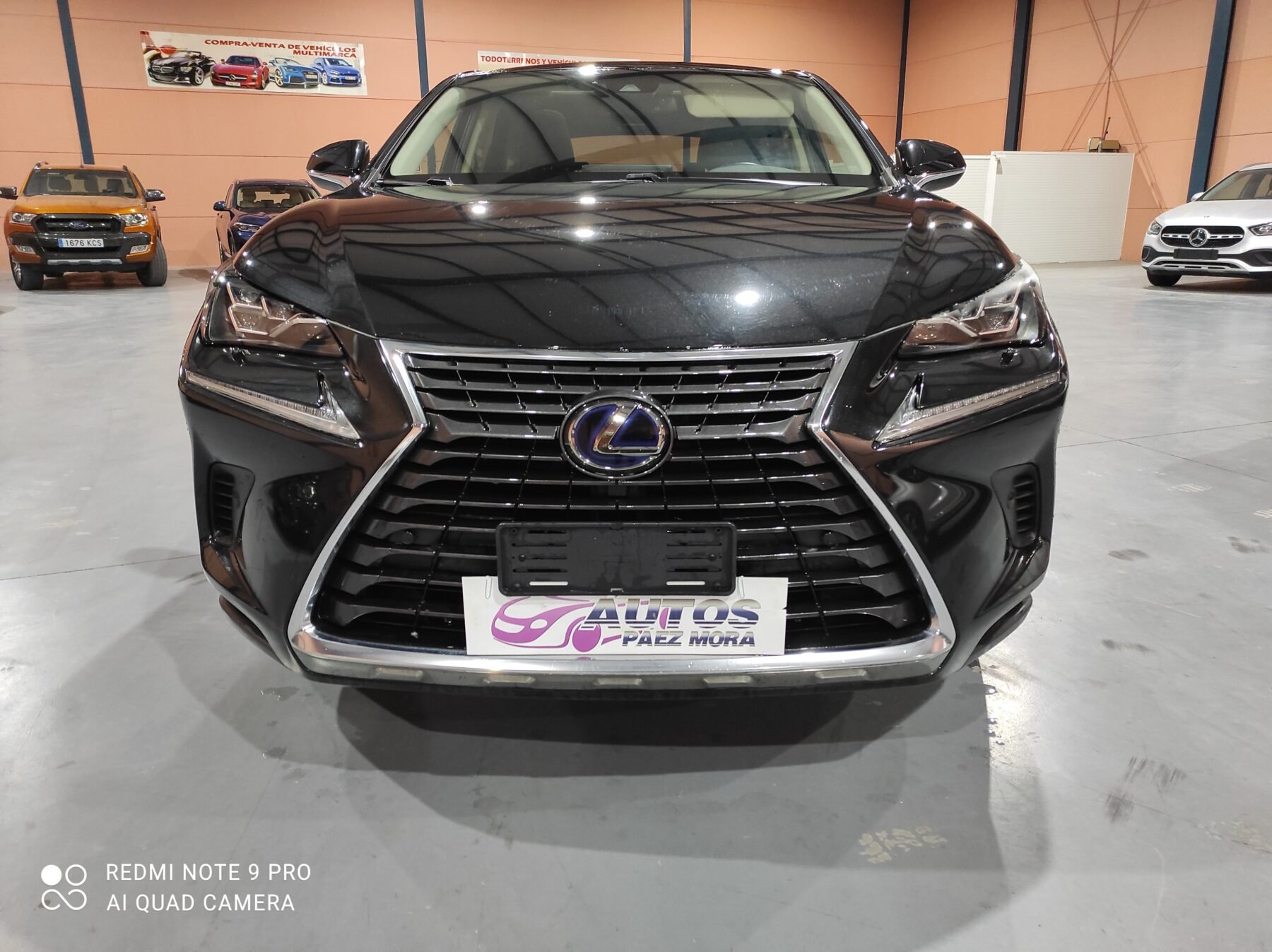LEXUS LUXURY 4WD