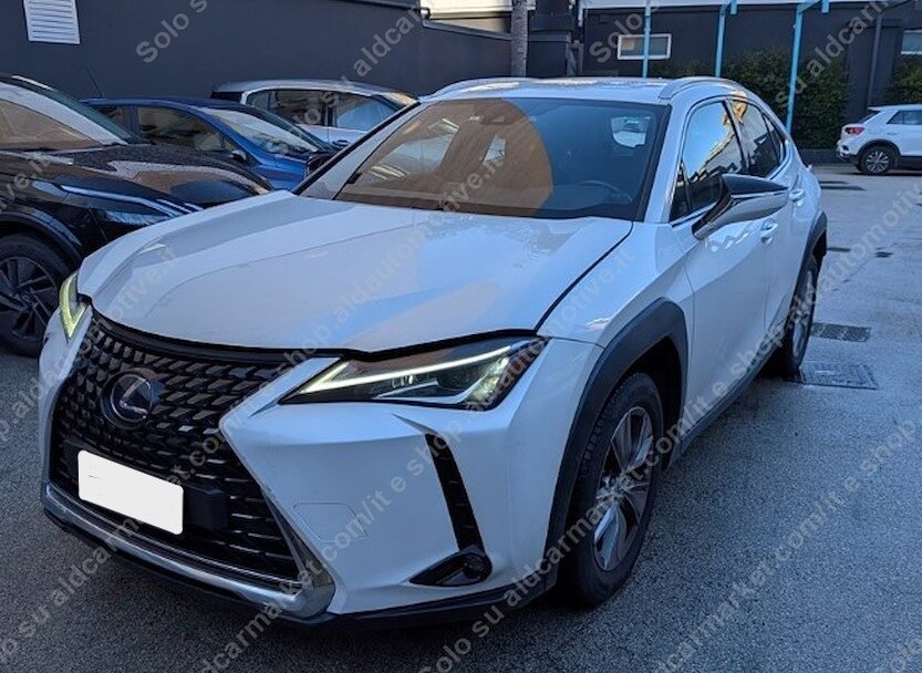 LEXUS UX BUSINES 2WD