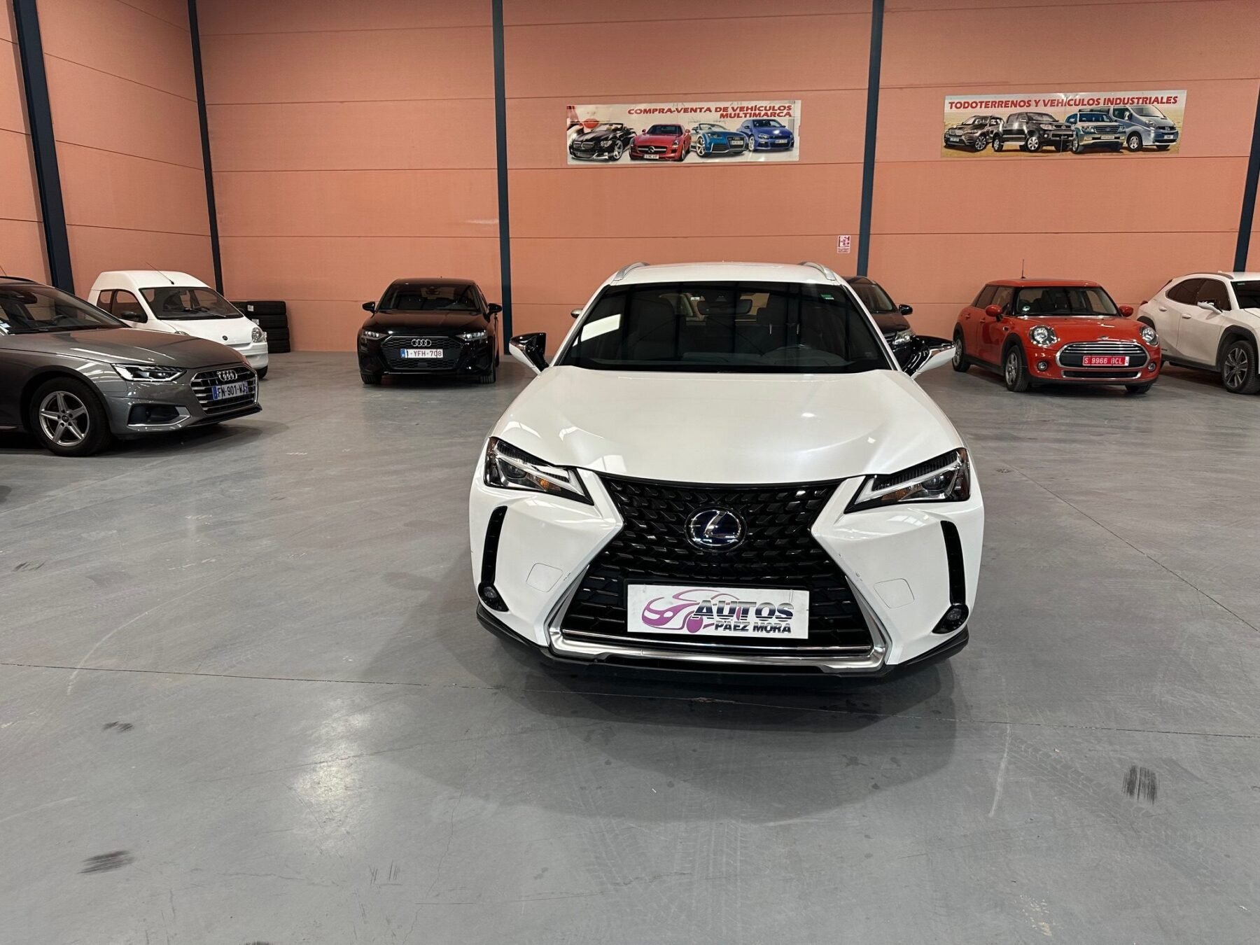 LEXUS UX BUSINES 2WD
