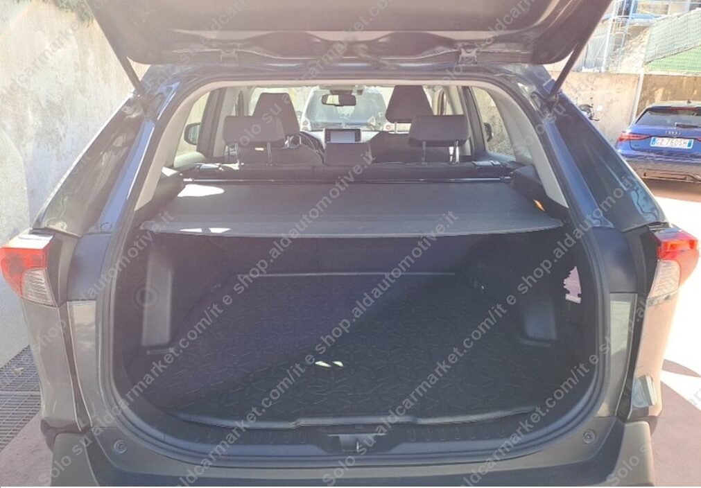 TOYOTA RAV4 BUSINESS  4WD